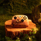 8BitDo Ultimate 3 Controller for XBOX - Tomb Raider 30th Anniversary Edition (Ships on Oct 24. 2026)